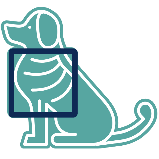 Pet Digital X-Ray icon