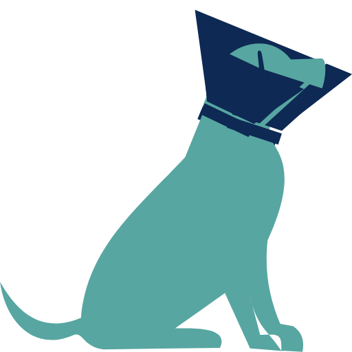 Pet Surgery icon